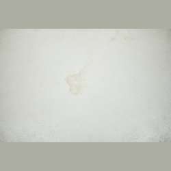 Koch Chemie Cosmo Clean (Cc) - Čistič podláh 11kg