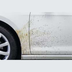 Koch Chemie Teerwäsche A (Tea) - Odstraňovač asfaltu 10L